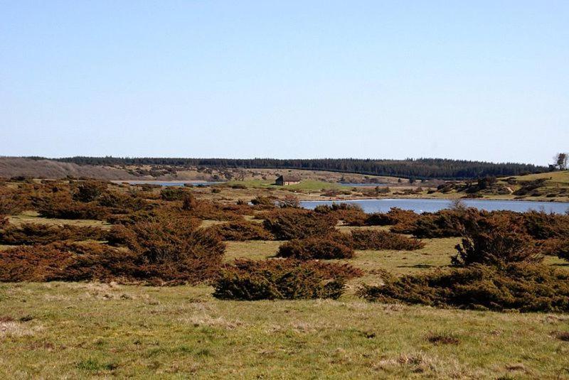 Hedelandets Camping Sevel Buitenkant foto